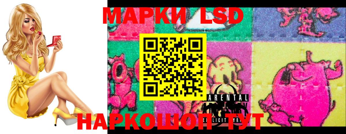 Свободный  Лсд 25 экстази кислота  LSD-25 экстази кислота  MEGA как войти  Вход с VPN 