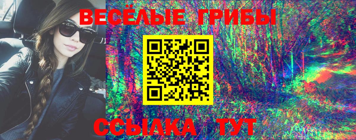 Галлюциногенные грибы Psilocybine cubensis  Псилоцибиновые грибы Psilocybe  Вход с VPN  Свободный 